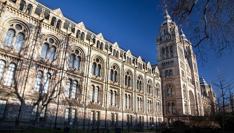 Photo: The Natural History Museum