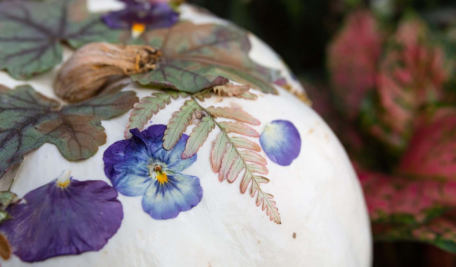 Craft your own pressed-flower pumpkin