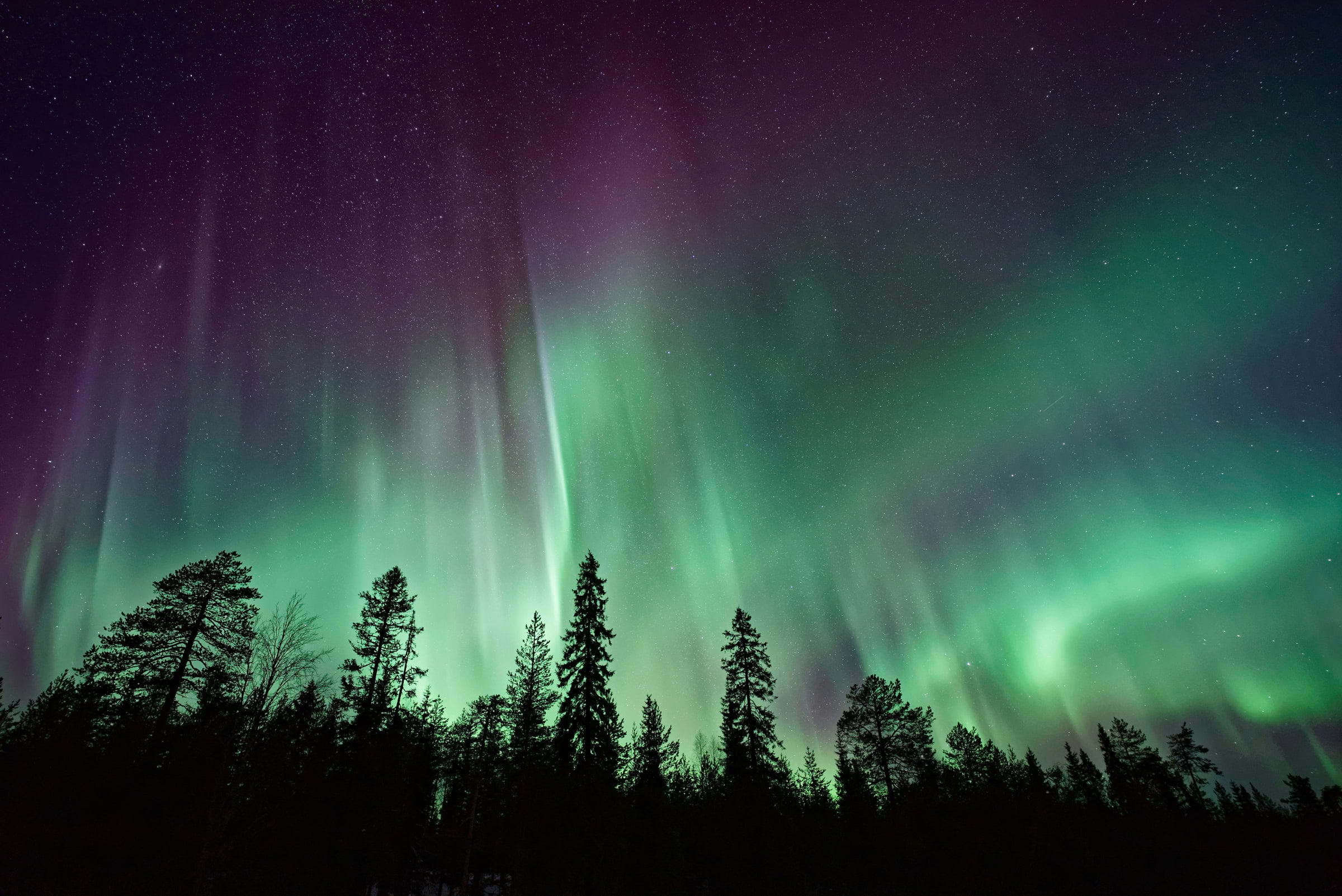 Norrskenstur är en populär aktivitet i Umeå.