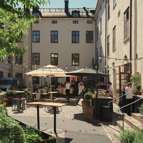 Vinfestival på NOFO 2025