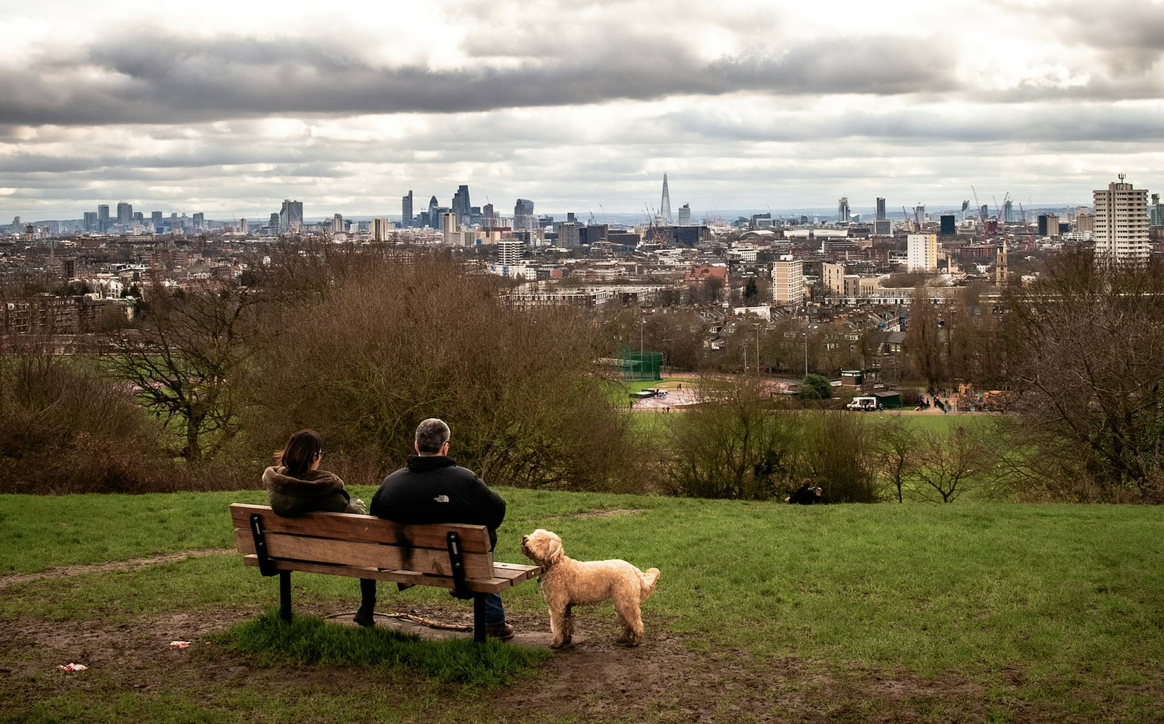 London takes second spot in UK's best cities for dogs