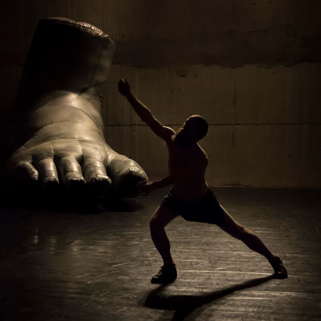 Dans & Performance 2026