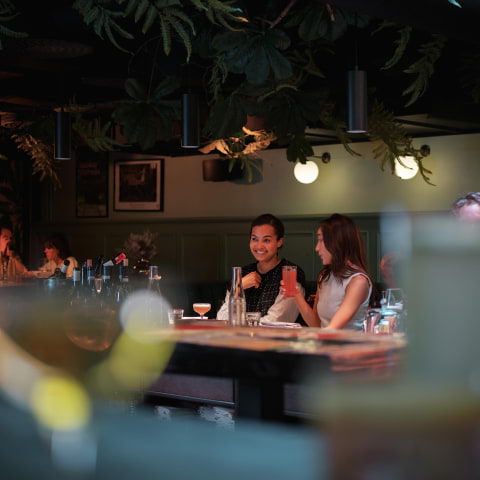 Hern&ouml; Gin g&auml;star DoMa