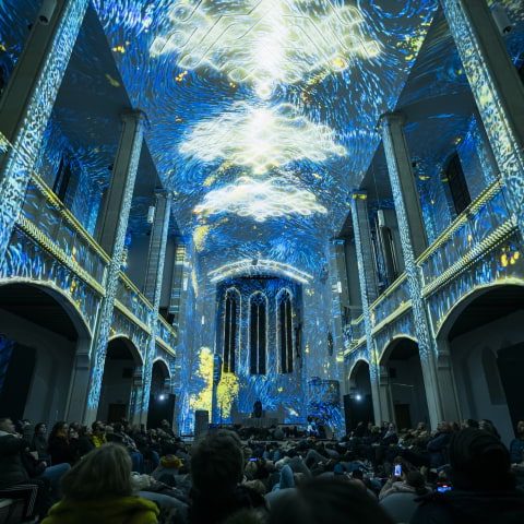 Uppslukande ljusshow intar Stockholm