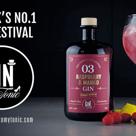 The Gin to My Tonic's craft spirit festival is in town this week