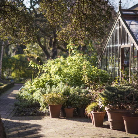 London's oldest botanical garden is gearing up for spring
