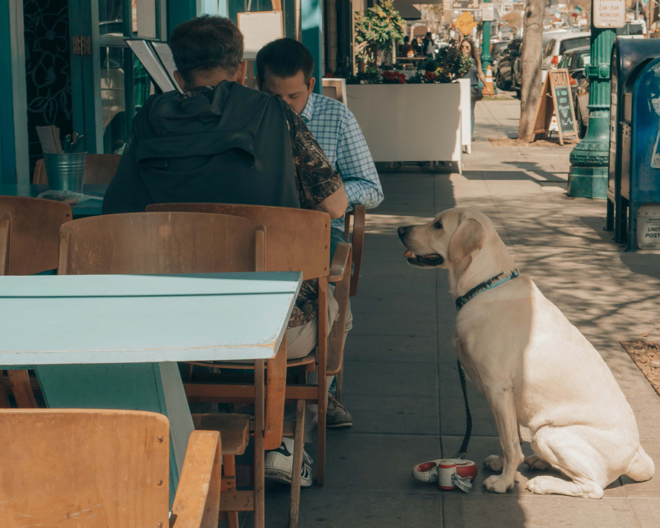 A labrador looking up at an outside table with two people eating