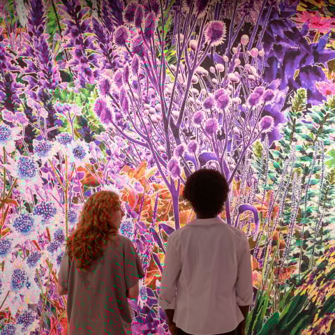 More than Human: This landmark summer exhibition takes design beyond humanity