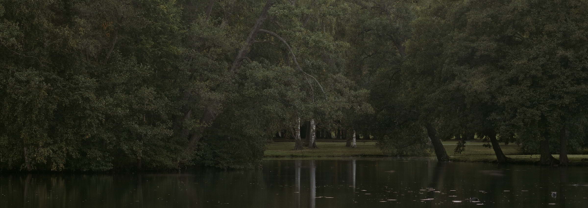 Den förtrollade skogen är sommarens nyhet på Artipelag