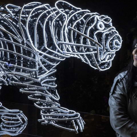 A new arts biennial is coming to the Royal Docks – and it's free