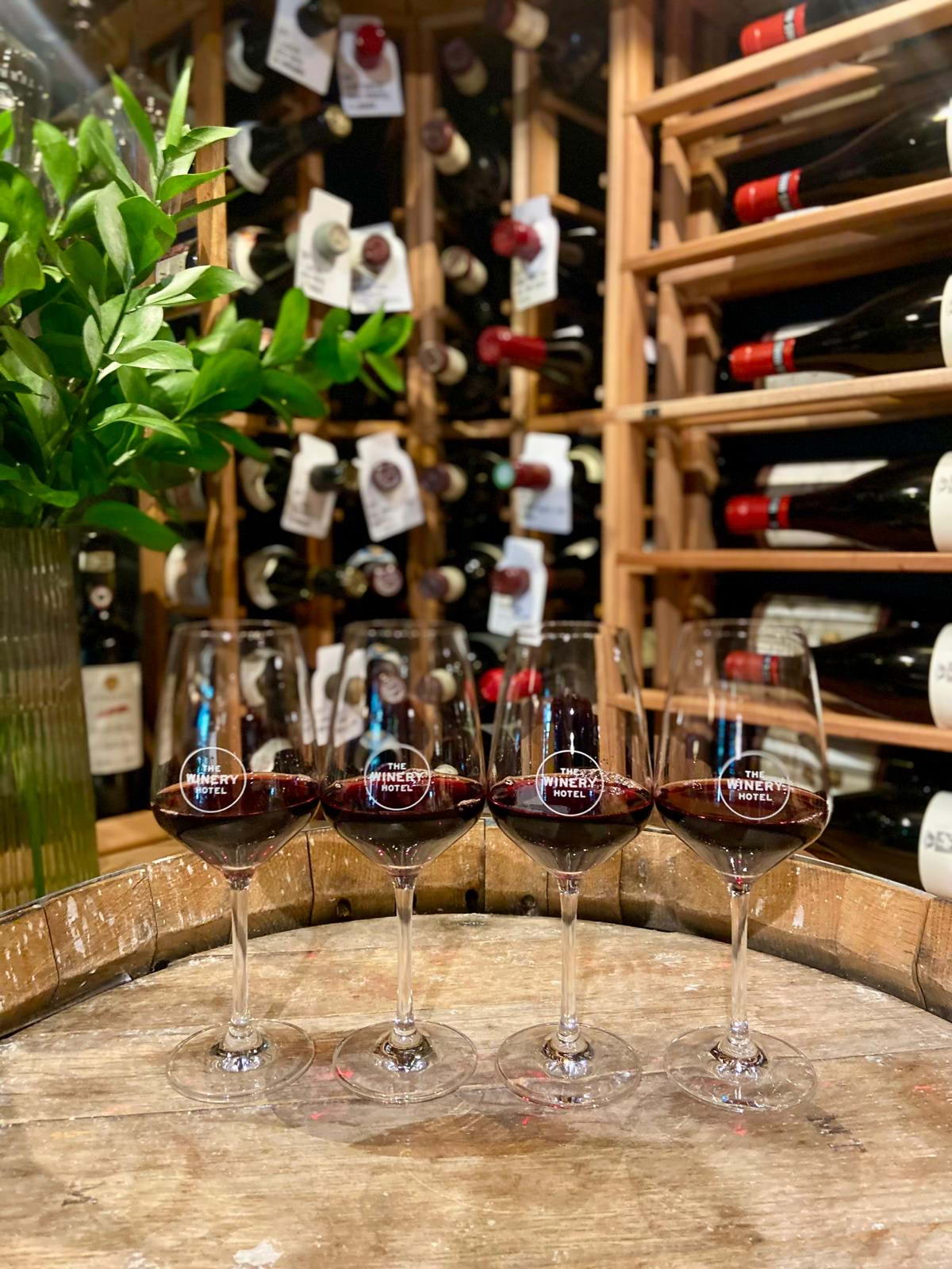 Tour de France - En vinprovning runt delar av Frankrike