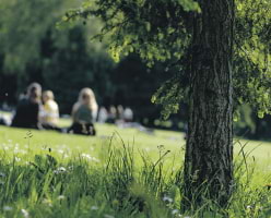 Kirra picknicken hos Downtown Camper