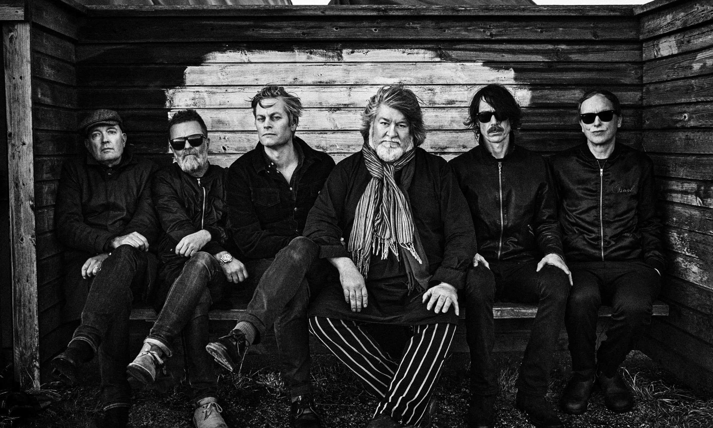 Flera stora artister intar scenen på Amnesty Live 2025