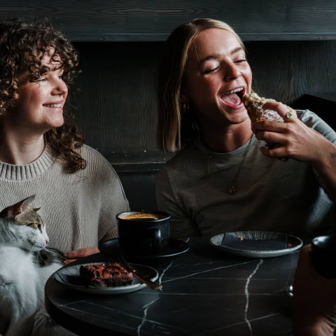 London's wholesome cat café that's helped over 800 cats find homes