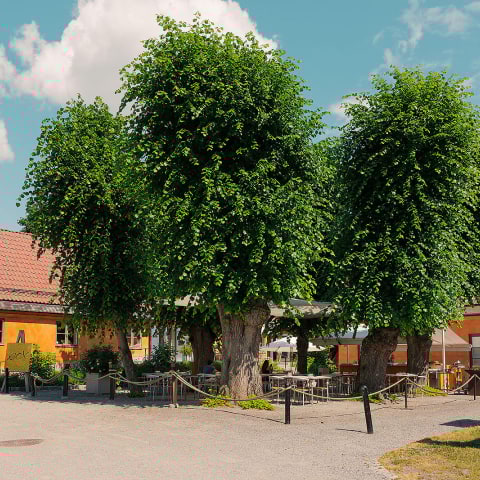 Restaurang Oxenstiernan öppnar igen – i nytt format