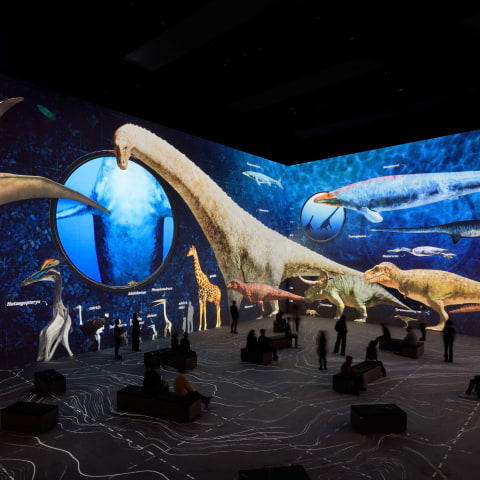 Step into the world of dinosaurs at Lightroom