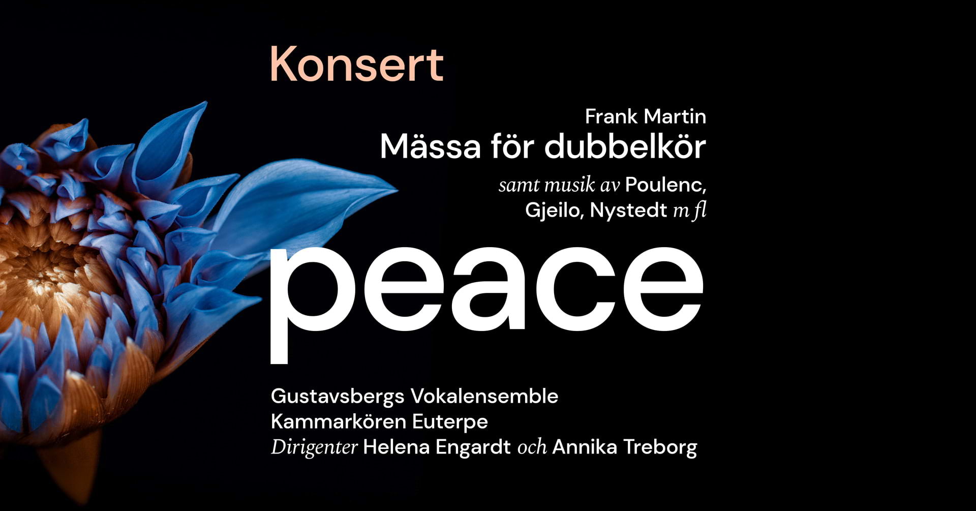Konsert: Peace