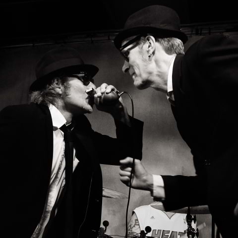 The Moose Brothers – 30 Years
