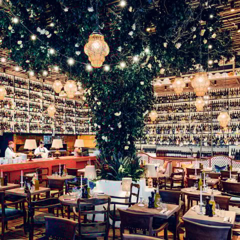 Big Mamma confirms arrival of Circolo Popolare to Manchester