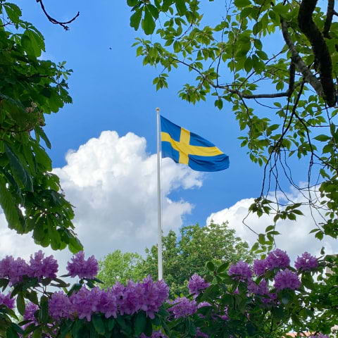 Här firas nationaldagen i Göteborg