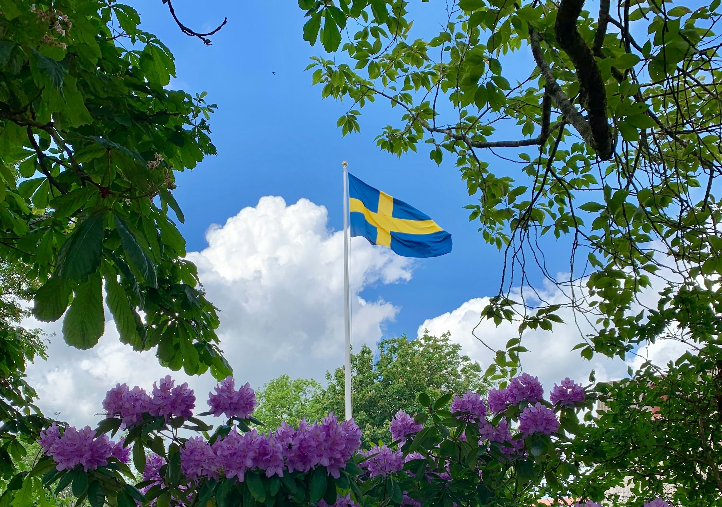 Här firas nationaldagen i Göteborg