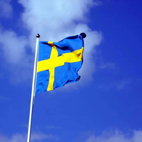 Här firas nationaldagen i Malmö