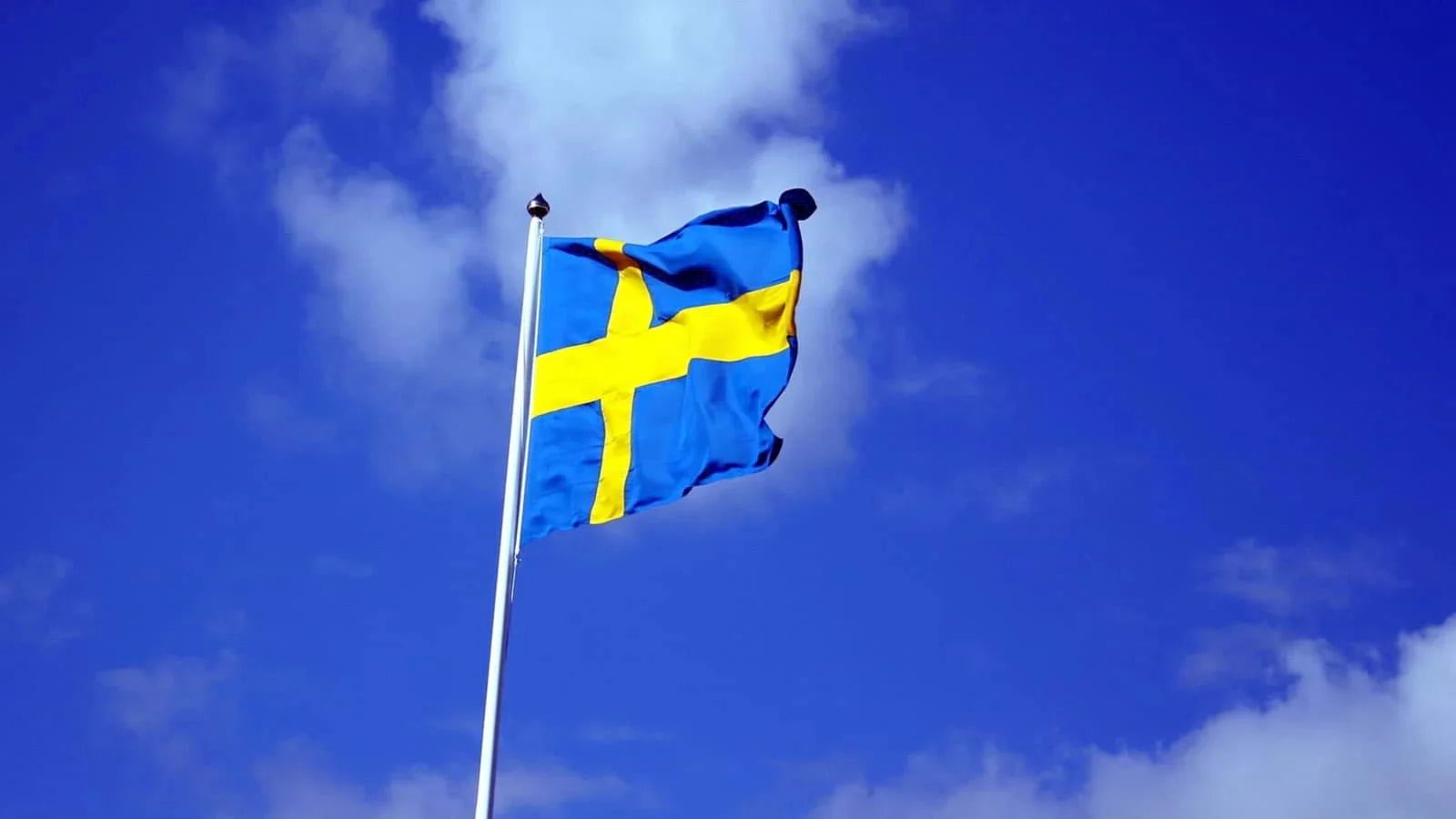 Här firas nationaldagen i Malmö