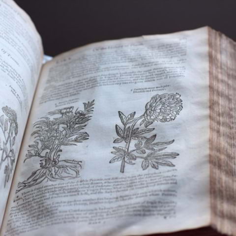 London's most prestigious book fair is back – and it's in full bloom