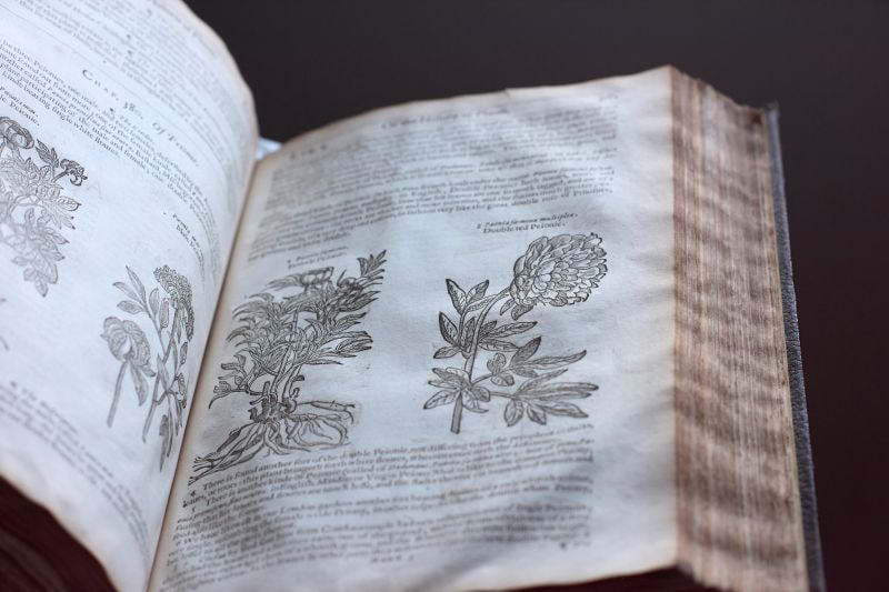 London's most prestigious book fair is back – and it's in full bloom