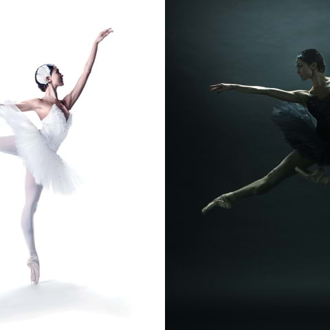 Svansjön på Kungliga Operan