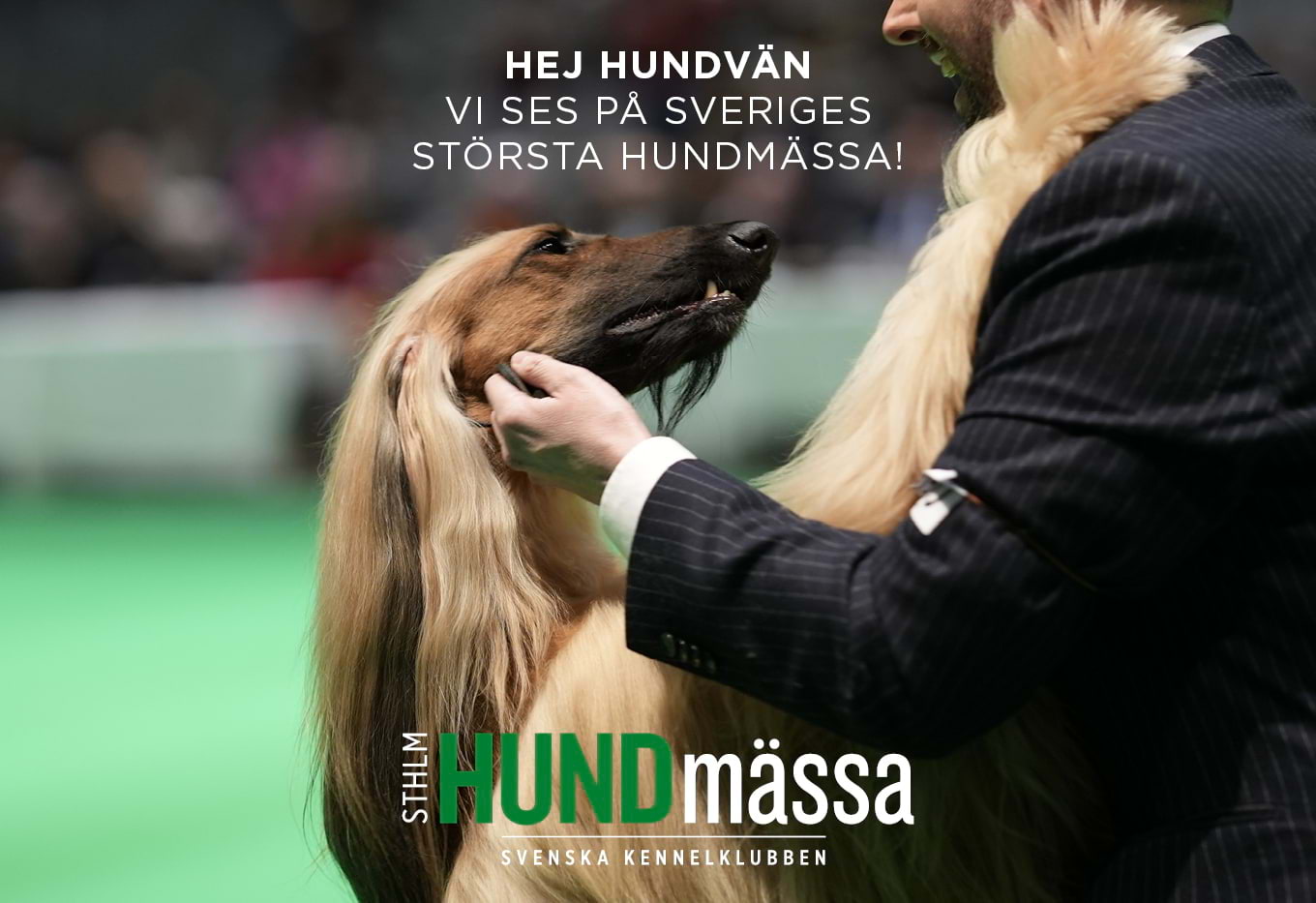 Stockholm Hundmässa 2025