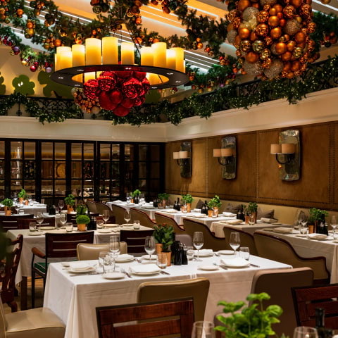 Novikov's Christmas lunch is a gift that keeps on giving