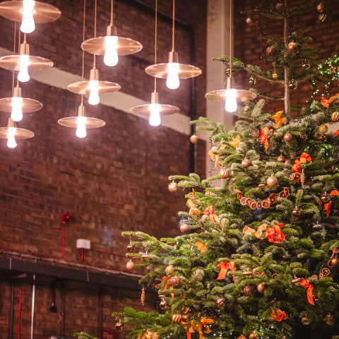 Pick up a Christmas tree at Big Penny Social