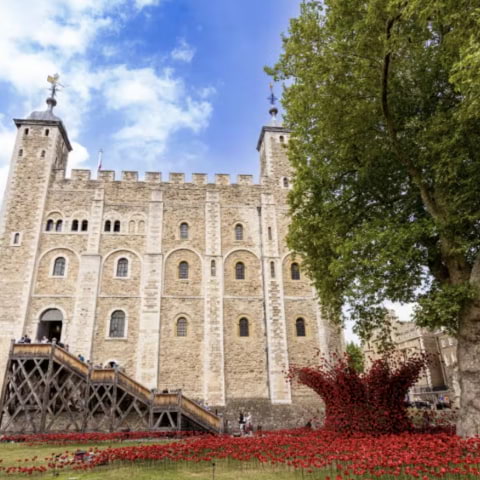 See the Tower of London's iconic ceramic poppies before they go