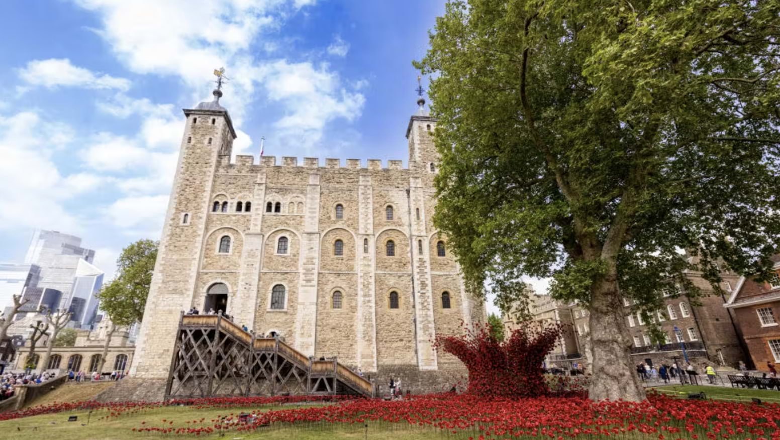 See the Tower of London's iconic ceramic poppies before they go