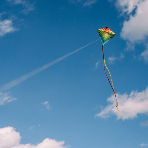 Take to the skies at Blackheath's Kite Day