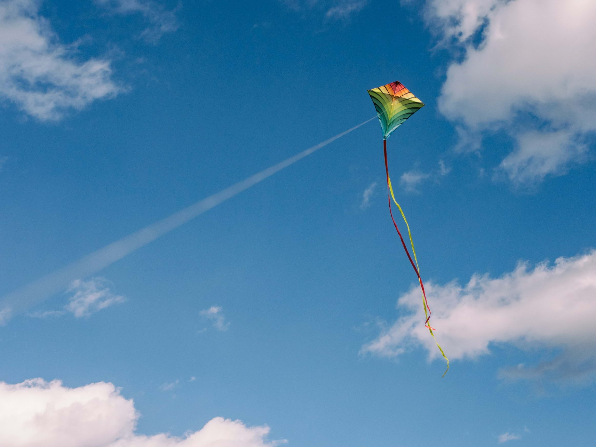 Take to the skies at Blackheath's Kite Day