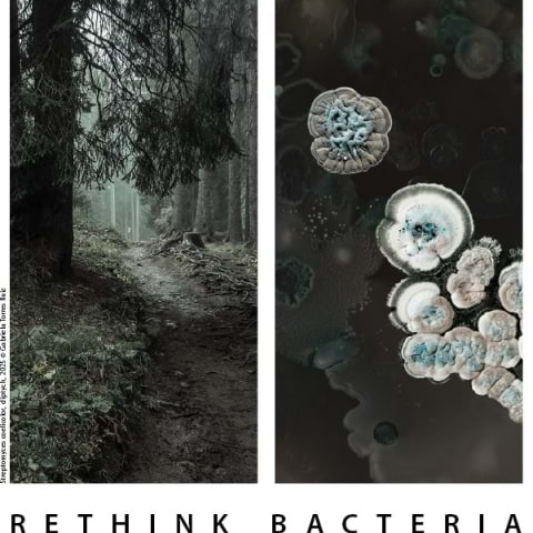 Utställningen Rethink Bacteria