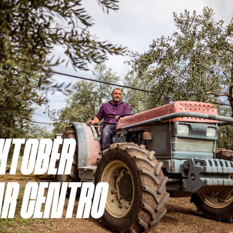 Olive oil producer's day på Bar Centro
