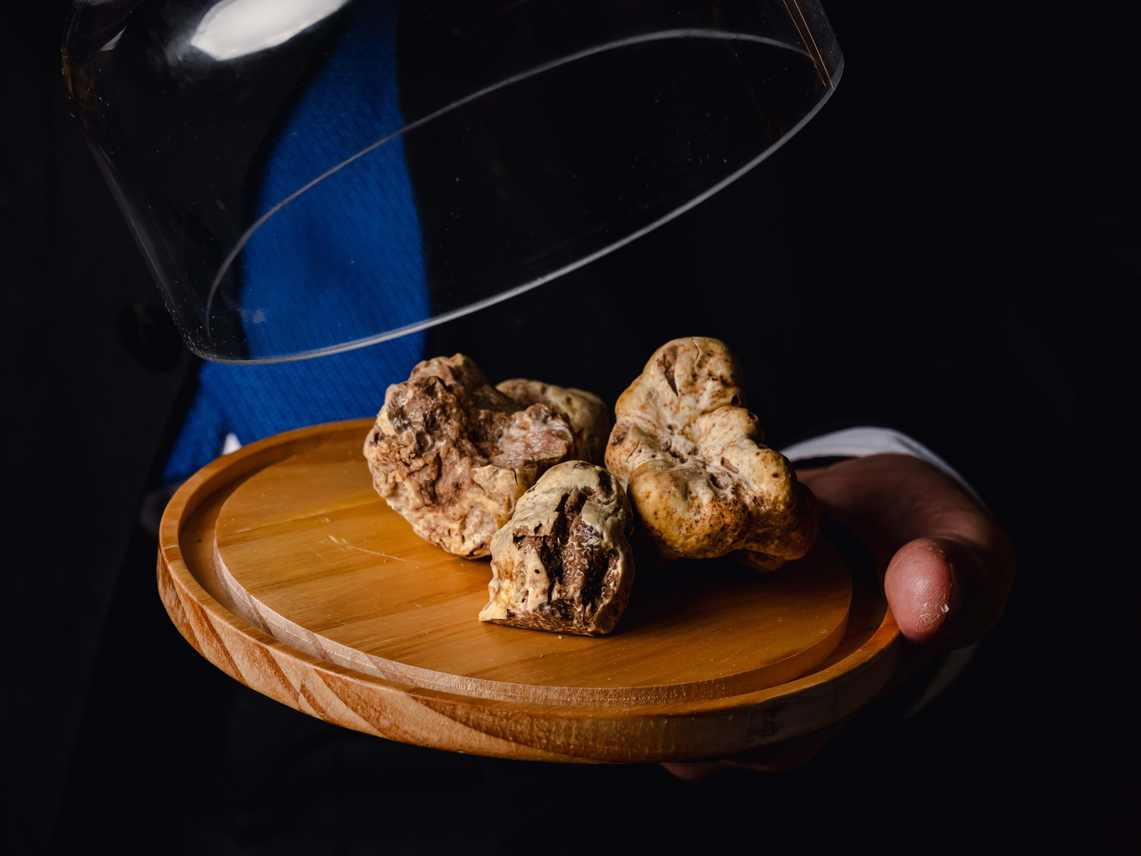 Indulge your senses at Novikov's Truffle Nights