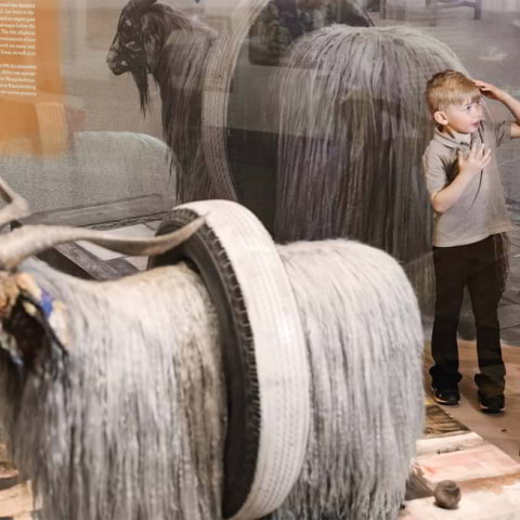 Höstlov på Moderna Museet