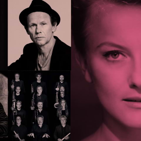 Hyllningskonsert till Monica Z på World of Volvo