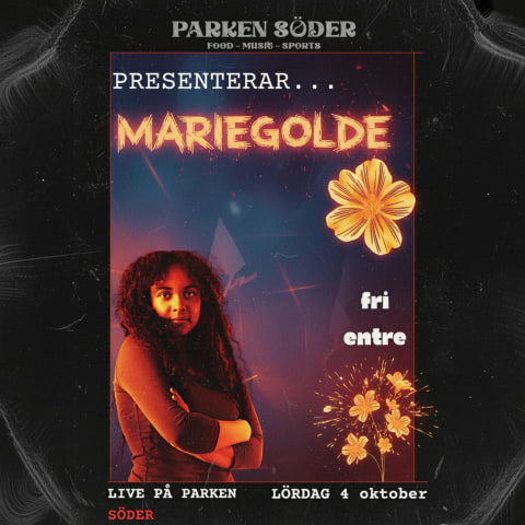 Mariegolde tar plats på Parken Söder