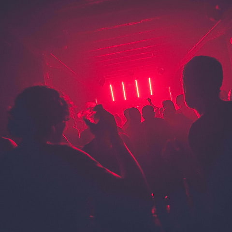 En Hemlig Artist intar Fållan