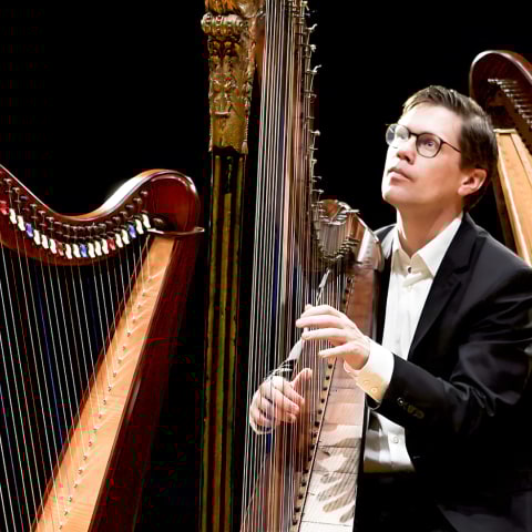 Sounds of Harps på World of Volvo