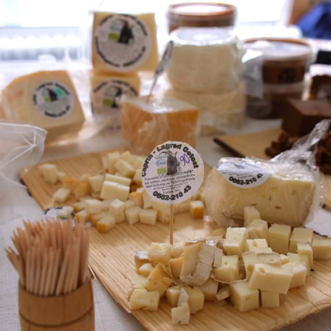 Dags för Ostfestivalen 2025 i Göteborg