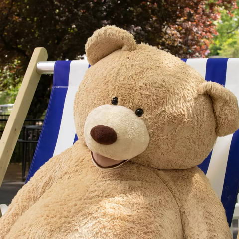 The London Zoo is throwing a big 200th birthday party for its parent charity ZSL