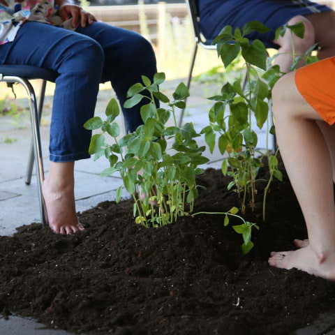 We are (like) Plants &ndash; Workshop med Hiroko Tsuchimoto