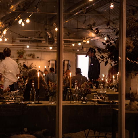 Herbarium H2O &ndash; en smakresa under ytan