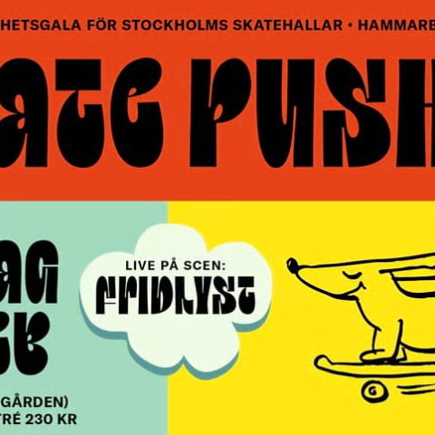 Skate Nation anordnar v&auml;lg&ouml;renhetsgala p&aring; Under Bron